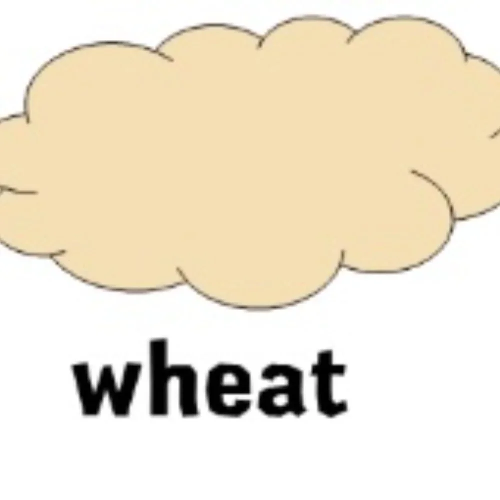 NWT Brooks Brothers bundle Shorts W 31 - Picture 13 of 13